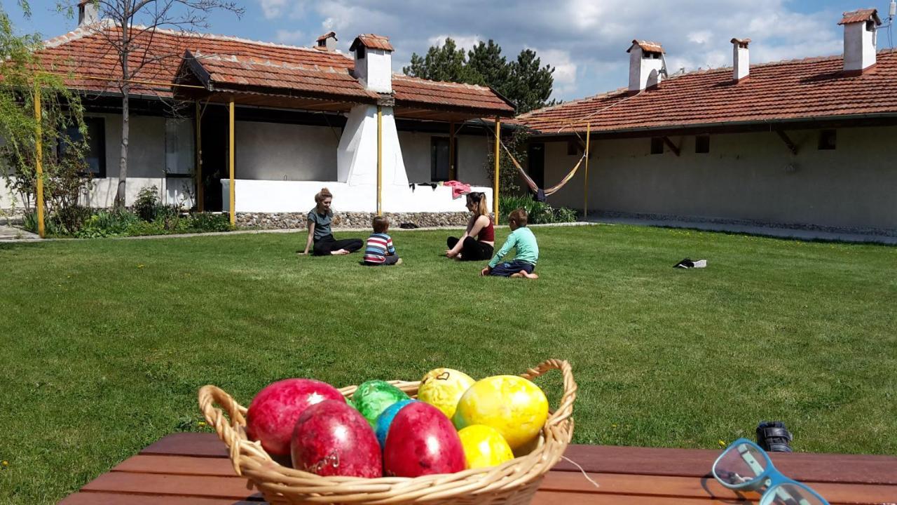 Family Hotel Belvedere Dulgopol Экстерьер фото