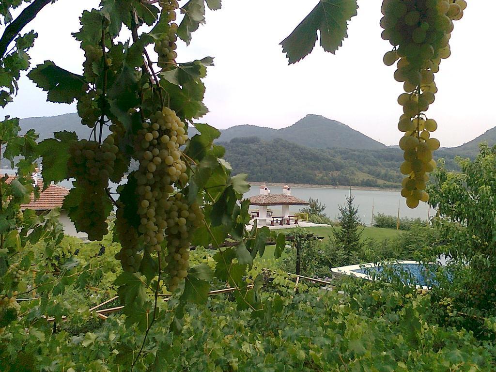 Family Hotel Belvedere Dulgopol Экстерьер фото