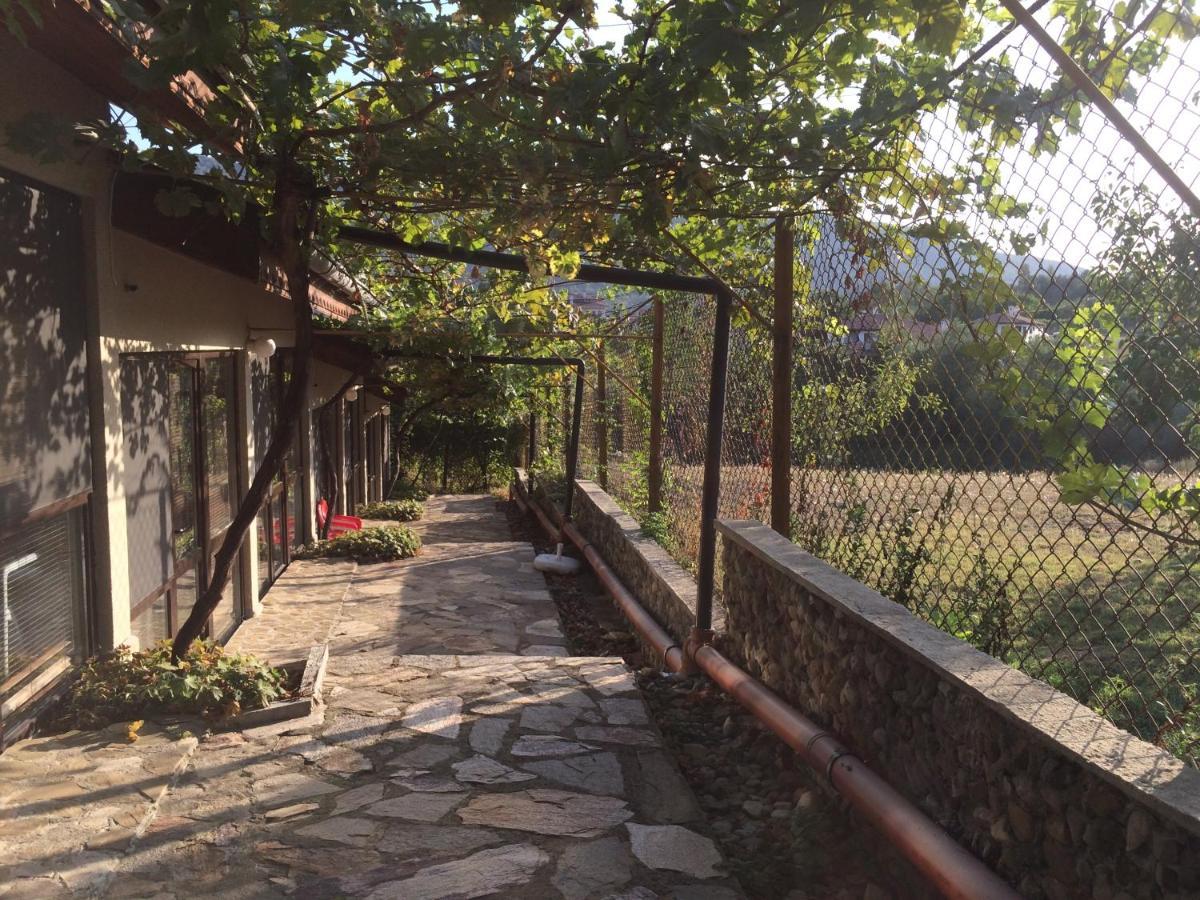 Family Hotel Belvedere Dulgopol Экстерьер фото